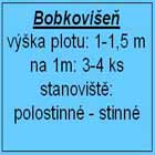 bobkovišeň