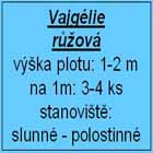 vajgélie růžová