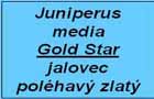 jalovec Gold Star